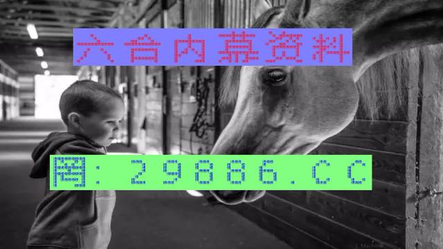 澳门特马网站.www与7777788888精准管家婆,词语释义、专家解读解释与落实和警惕虚假宣传-全面释义、专家解读解释与落实