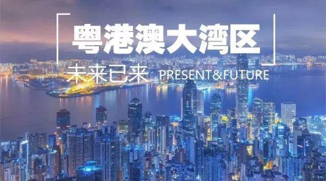 2025年新澳门和香港天天免费精准大全与新澳2025精准正版免费,全面释义、解释与落实与警惕虚假宣传