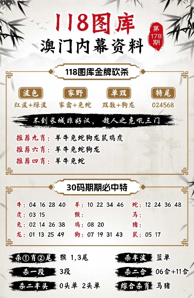 澳门管家婆100%精准,全面释义、解释与落实-警惕虚假宣传-全面释义、解释与落实
