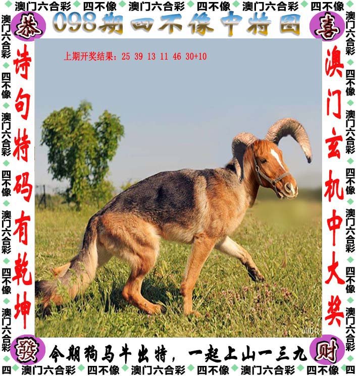 2025新澳四不像正版今晚资料,词语释义、专家解读解释与落实和警惕虚假宣传-全面释义、专家解读解释与落实