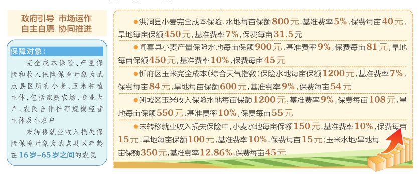 777778888精准免费四肖,词语释义、解释与落实