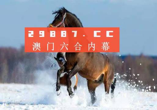 2025新澳门天天免费大全,精选解析、解释与落实